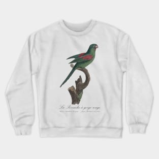 La Perruche a Gorge Rouge Parakeet - Jacques Barraband 19th century Illustration Crewneck Sweatshirt